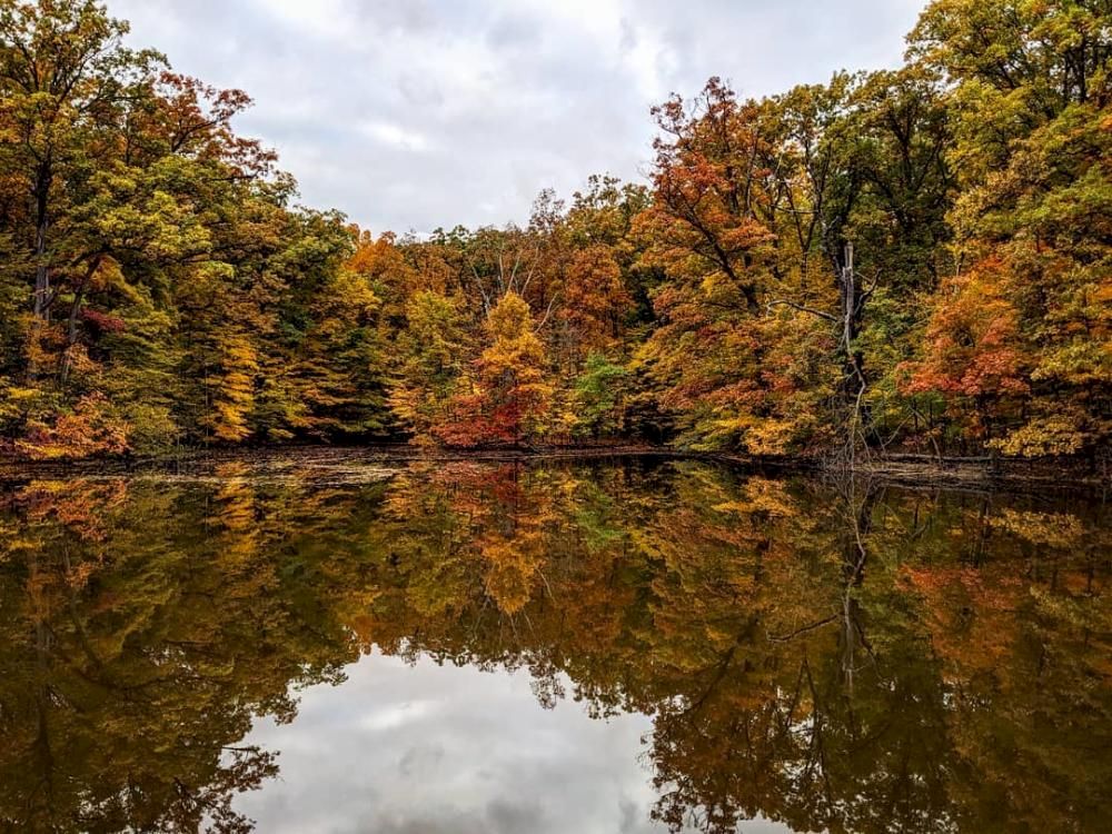 A serene lake reflecting colorful autumn trees with a cloudy sky above, creating a tranquil and picturesque scene.